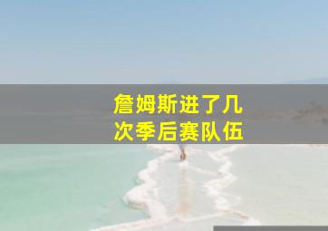 詹姆斯进了几次季后赛队伍