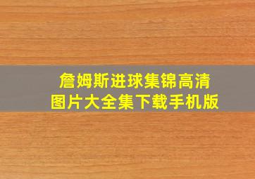 詹姆斯进球集锦高清图片大全集下载手机版