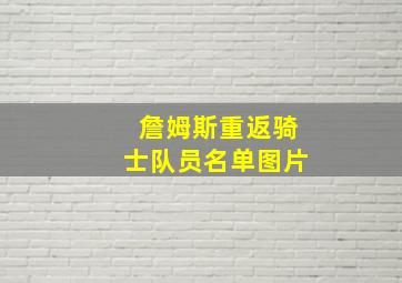 詹姆斯重返骑士队员名单图片