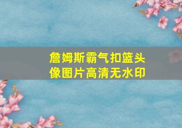 詹姆斯霸气扣篮头像图片高清无水印