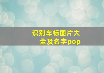 识别车标图片大全及名字pop