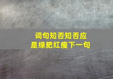 词句知否知否应是绿肥红瘦下一句