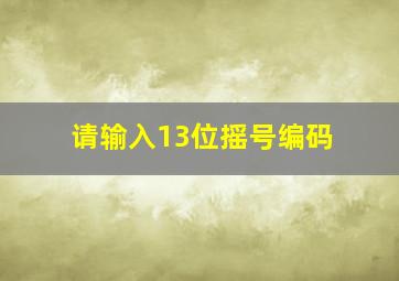 请输入13位摇号编码