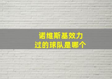 诺维斯基效力过的球队是哪个