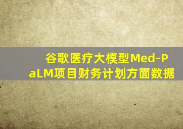 谷歌医疗大模型Med-PaLM项目财务计划方面数据