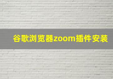 谷歌浏览器zoom插件安装