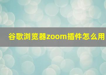 谷歌浏览器zoom插件怎么用