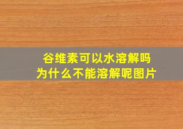 谷维素可以水溶解吗为什么不能溶解呢图片