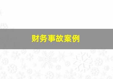 财务事故案例