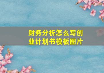 财务分析怎么写创业计划书模板图片