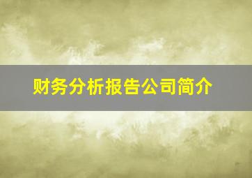 财务分析报告公司简介