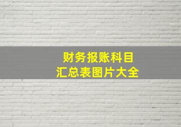 财务报账科目汇总表图片大全