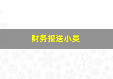 财务报送小类