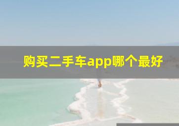 购买二手车app哪个最好