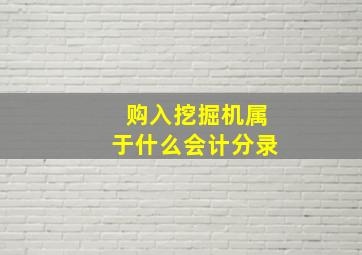 购入挖掘机属于什么会计分录