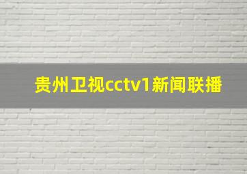 贵州卫视cctv1新闻联播