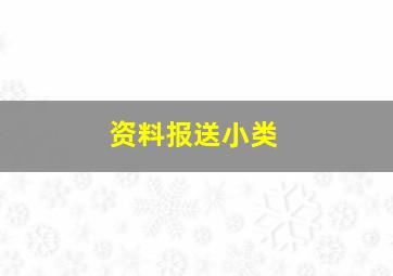 资料报送小类