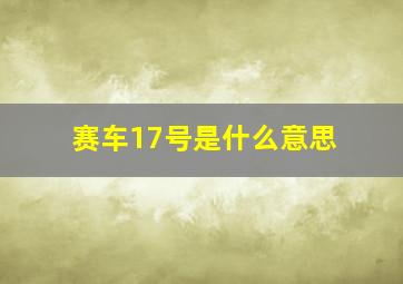 赛车17号是什么意思