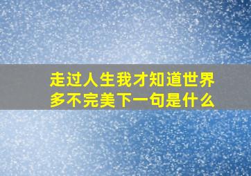 走过人生我才知道世界多不完美下一句是什么