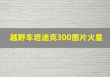 越野车坦途克300图片火星