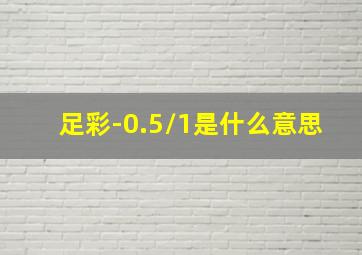 足彩-0.5/1是什么意思