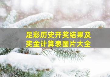 足彩历史开奖结果及奖金计算表图片大全