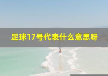 足球17号代表什么意思呀