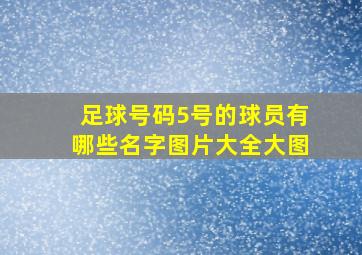 足球号码5号的球员有哪些名字图片大全大图