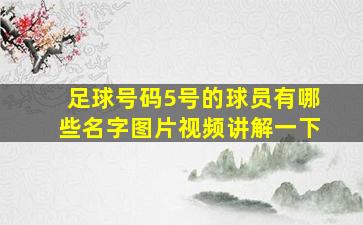 足球号码5号的球员有哪些名字图片视频讲解一下