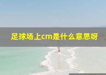 足球场上cm是什么意思呀