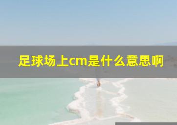 足球场上cm是什么意思啊