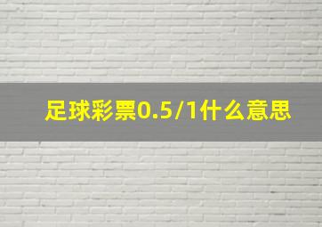 足球彩票0.5/1什么意思