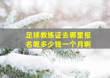 足球教练证去哪里报名呢多少钱一个月啊