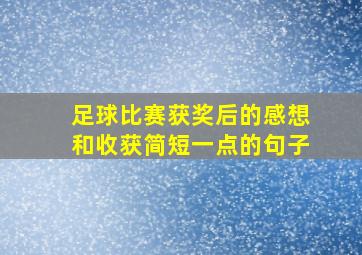 足球比赛获奖后的感想和收获简短一点的句子