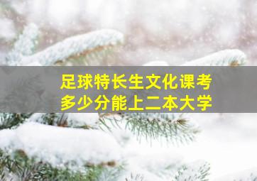 足球特长生文化课考多少分能上二本大学