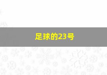 足球的23号