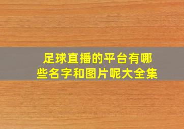 足球直播的平台有哪些名字和图片呢大全集