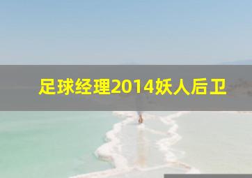 足球经理2014妖人后卫