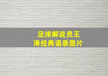 足球解说员王涛经典语录图片