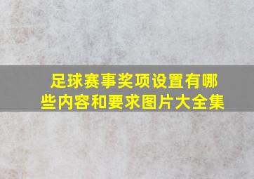 足球赛事奖项设置有哪些内容和要求图片大全集