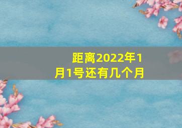 距离2022年1月1号还有几个月