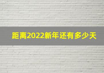 距离2022新年还有多少天