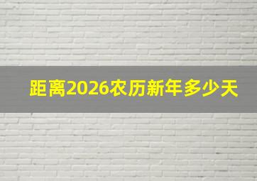 距离2026农历新年多少天