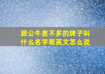 跟公牛差不多的牌子叫什么名字呢英文怎么说