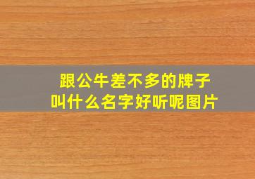 跟公牛差不多的牌子叫什么名字好听呢图片