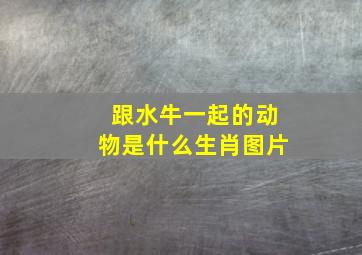 跟水牛一起的动物是什么生肖图片