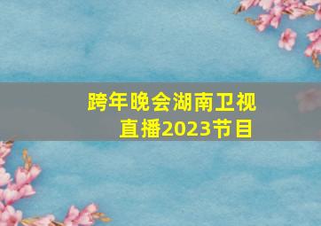 跨年晚会湖南卫视直播2023节目