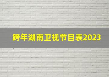 跨年湖南卫视节目表2023