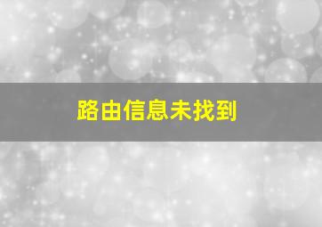 路由信息未找到