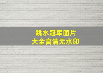 跳水冠军图片大全高清无水印